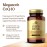 Solgar Megasorb CoQ-10 400 mg, 60 Softgels - Supports Brain Function - Coenzyme Q10 Supplement - Enhanced Absorption - Gluten Free, Dairy Free - 60 Servings