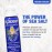 H2Ocean Piercing Aftercare Spray, Sea Salt Spray for Piercing Care, Organic Ear, Nose, Navel, Oral & Body Piercing Spray - 1.5oz