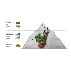 Swiss Army for Men 3.4 oz Eau de Toilette Spray (P40102) Swiss Army for Men 3.4 oz Eau de Toilette Spray (P40102)