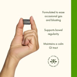 Swanson Activated Charcoal - Natural Supplement Supporting Healthy Absorption - Helps w/Bloating & Maintaining Bowel Regularity - (120 Capsules, 520mg per Serving)