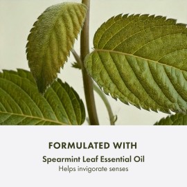 Origins Checks and Balances Frothy Face Wash | Gently Cleanses All Skin Types | With Mint, 1.7 Fl Oz