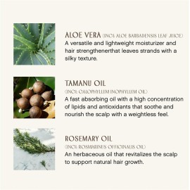 INNERSENSE Organic Beauty - Natural Sweet Spirit Leave-In Conditioner | Non-Toxic, Cruelty-Free, Clean Haircare (Full Size, 10 fl oz | 295 ml) INNERSENSE Organic Beauty - Natural Sweet Spirit Leave-In Conditioner | Non-Toxic, Cruelty-Free, Clean Haircare (Full Size, 10 fl oz | 295 ml)