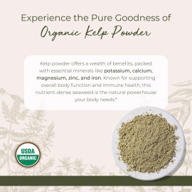 Starwest Botanicals Organic Kelp Powder - Nutrient Rich, Natural Source of Iodine, Potassium, Magnesium, Zinc, Iron, & Calcium, Certified Kosher, Non-GMO - 16 oz Bag Starwest Botanicals Organic Kelp Powder - Nutrient Rich, Natural Source of Iodine, Potassium, Magnesium, Zinc, Iron, & Calcium, Certified Kosher, Non-GMO - 16 oz Bag