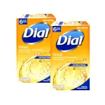 Dial Antibacterial Soap Bar, Gold, 6 Count (Pack of 2)