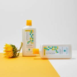 Andalou Naturals Sunflower and Citrus Brilliant Shine Shampoo, 11.5 Ounce Andalou Naturals Sunflower and Citrus Brilliant Shine Shampoo, 11.5 Ounce