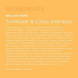 Andalou Naturals Sunflower and Citrus Brilliant Shine Shampoo, 11.5 Ounce Andalou Naturals Sunflower and Citrus Brilliant Shine Shampoo, 11.5 Ounce