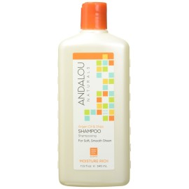 Andalou Naturals Argan Oil & Shea Moisture Rich Shampoo, Orange, 11.5 Ounce