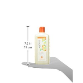 Andalou Naturals Argan Oil & Shea Moisture Rich Shampoo, Orange, 11.5 Ounce Andalou Naturals Argan Oil & Shea Moisture Rich Shampoo, Orange, 11.5 Ounce