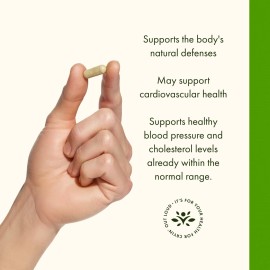 Swanson Olive Leaf Extract Capsules with 20% Oleuropein - Provides Immune Support, Promotes Cardiovascular System Health, and Supports Healthy Blood Pressure - (120 Capsules, 500mg Each)