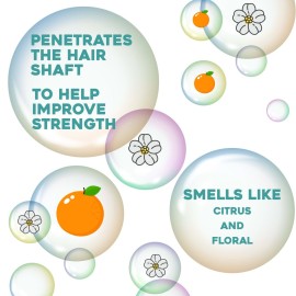 OGX Renewing + Argan Oil of Morocco Weightless Healing Dry Oil Spray, Lightweight Hair Oil Mist for Split Ends, Frizzy Hair and Flyaways, Paraben & Sulfated-Surfactants Free, 4 Fl Oz OGX Renewing + Argan Oil of Morocco Weightless Healing Dry Oil Spray, Lightweight Hair Oil Mist for Split Ends, Frizzy Hair and Flyaways, Paraben & Sulfated-Surfactants Free, 4 Fl Oz