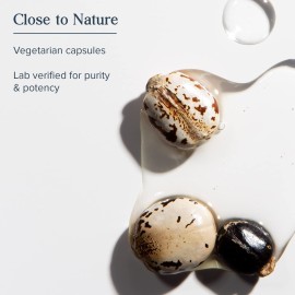 HERITAGE STORE Castor Oil Supplement 725 mg, Healthy Cleansing, Intestinal Balance & Digestion Support,* with Added Fennel Oil, 60 Servings, 60 Vegetarian Capsules HERITAGE STORE Castor Oil Supplement 725 mg, Healthy Cleansing, Intestinal Balance & Digestion Support,* with Added Fennel Oil, 60 Servings, 60 Vegetarian Capsules