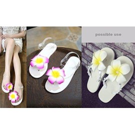 2.5 Hawaiian Hair Flower Clip Hair Barrettes for Women.Hair Buckle 4 Moana Luau Hawaiian Dresses for Women-6pc Hair Clips for Thin Hair,Hair Clips for Girls,Plumeria Hawaii Hair Accessories for Women 2.5 Hawaiian Hair Flower Clip Hair Barrettes for Women.Hair Buckle 4 Moana Luau Hawaiian Dresses for Women-6pc Hair Clips for Thin Hair,Hair Clips for Girls,Plumeria Hawaii Hair Accessories for Women