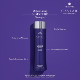 Alterna Haircare CAVIAR Anti Aging Replenishing Moisture Shampoo, 8.5 Fl Oz (Pack of 1) Alterna Haircare CAVIAR Anti Aging Replenishing Moisture Shampoo, 8.5 Fl Oz (Pack of 1)