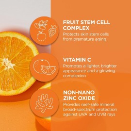 Andalou Naturals Vitamin C BB Beauty Balm Sheer Tint SPF 30, 2-in-1 BB Cream & Face Sunscreen with Broad Spectrum Protection, Mineral Sunscreen with Non-Nano Zinc Oxide, 2 Fl Oz Andalou Naturals Vitamin C BB Beauty Balm Sheer Tint SPF 30, 2-in-1 BB Cream & Face Sunscreen with Broad Spectrum Protection, Mineral Sunscreen with Non-Nano Zinc Oxide, 2 Fl Oz