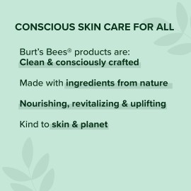 Burt\'s Bees Lip Gloss, Lip Shine for Women, 100% Natural Makeup, Pucker Burt\'s Bees Lip Gloss, Lip Shine for Women, 100% Natural Makeup, Pucker