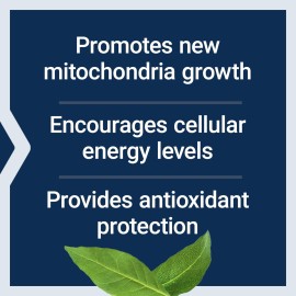 Life Extension PQQ, pyrroloquinoline Quinone, 20 mg, Promotes The Growth of New Mitochondria, Gluten-Free, Non-GMO, Vegetarian, 1 Daily, 30 Capsules