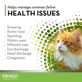 Tomlyn Immune Support Daily L-Lysine Supplement, Fish-Flavored Lysine Powder for Cats and Kittens, 3.5oz Tomlyn Immune Support Daily L-Lysine Supplement, Fish-Flavored Lysine Powder for Cats and Kittens, 3.5oz