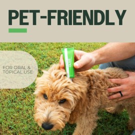 PurO3 Ozonated Olive Oil - Pure, Natural, Organic Skincare for Face & Body - Oxygenated Healing Lotion, Moisturizer & Beauty Cream in a Glass Jar - O3 Therapy Salve, 2 oz PurO3 Ozonated Olive Oil - Pure, Natural, Organic Skincare for Face & Body - Oxygenated Healing Lotion, Moisturizer & Beauty Cream in a Glass Jar - O3 Therapy Salve, 2 oz