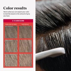 Just For Men Easy Comb-In Color Mens Hair Dye, Easy No Mix Application with Comb Applicator - Dark Blond, A-15, Pack of 1 Just For Men Easy Comb-In Color Mens Hair Dye, Easy No Mix Application with Comb Applicator - Dark Blond, A-15, Pack of 1