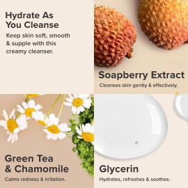 Paula\'s Choice RESIST Optimal Results Hydrating Cleanser, Green Tea & Chamomile, Anti-Aging Face Wash, Dry Skin, 6.4 Ounce Paula\'s Choice RESIST Optimal Results Hydrating Cleanser, Green Tea & Chamomile, Anti-Aging Face Wash, Dry Skin, 6.4 Ounce