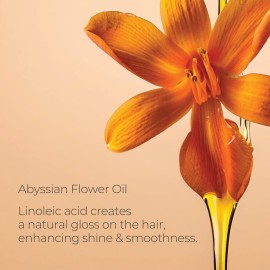 L\'ANZA Keratin Healing Oil Hair Treatment, Hair Oil Revives & Nourishes Dry Damaged Hair & Scalp, Sulfate Free with Phyto IV Complex, Cruelty Free Volumizing Hair Care with UV Protection (1.7 Fl Oz) L\'ANZA Keratin Healing Oil Hair Treatment, Hair Oil Revives & Nourishes Dry Damaged Hair & Scalp, Sulfate Free with Phyto IV Complex, Cruelty Free Volumizing Hair Care with UV Protection (1.7 Fl Oz)