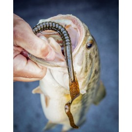 Berkley PowerBait Power Worm Fishing Bait, Pumpkinseed, 7in | 18cm, Irresistible Flavor, Classic Curly Tail Worm Profile, Ideal for Spring, Summer and Fall Fishing Berkley PowerBait Power Worm Fishing Bait, Pumpkinseed, 7in | 18cm, Irresistible Flavor, Classic Curly Tail Worm Profile, Ideal for Spring, Summer and Fall Fishing