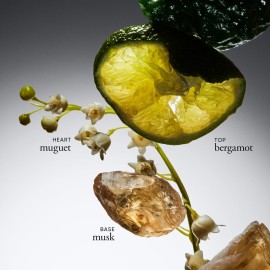 philosophy amazing grace eau de parfum - clean & floral women\'s perfume - with notes of bergamot, lily of the valley & musk - long lasting fragrance - 2 fl oz philosophy amazing grace eau de parfum - clean & floral women\'s perfume - with notes of bergamot, lily of the valley & musk - long lasting fragrance - 2 fl oz