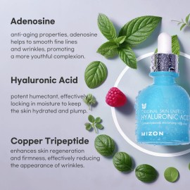 MIZON Hyaluronic Acid 100 Serum - Pure Hyaluronic Acid for Deep Hydration, Plumping & Skin Barrier Support - Lightweight K-Beauty Ampoule for Glass Skin Glow (1.01 fl. oz)