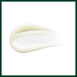 Aveda Damage Remedy Daily Hair Repair | Leave-In Treatment for Damaged Hair | Detangler | Heat Protectant | 98% Naturally Derived*, 3.4 Fl Oz Aveda Damage Remedy Daily Hair Repair | Leave-In Treatment for Damaged Hair | Detangler | Heat Protectant | 98% Naturally Derived*, 3.4 Fl Oz