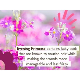 Babo Botanicals Smoothing Conditioner with Evening Primrose Oil, Coconut Oil and Provitamin B5 - For Babies, Kids and Adults with Tangly or Unruly Hair - Vegan