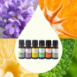 Plant Therapy Top 6 USDA Organic Essential Oil Set - Lavender, Peppermint, Eucalyptus, Lemon, Tea Tree 100% Pure, Natural Aromatherapy, for Diffusion & Topical Use, Therapeutic Grade 10 mL (1/3 oz) Plant Therapy Top 6 USDA Organic Essential Oil Set - Lavender, Peppermint, Eucalyptus, Lemon, Tea Tree 100% Pure, Natural Aromatherapy, for Diffusion & Topical Use, Therapeutic Grade 10 mL (1/3 oz)