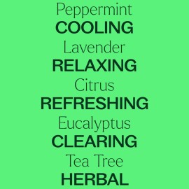 Plant Therapy Top 6 USDA Organic Essential Oil Set - Lavender, Peppermint, Eucalyptus, Lemon, Tea Tree 100% Pure, Natural Aromatherapy, for Diffusion & Topical Use, Therapeutic Grade 10 mL (1/3 oz) Plant Therapy Top 6 USDA Organic Essential Oil Set - Lavender, Peppermint, Eucalyptus, Lemon, Tea Tree 100% Pure, Natural Aromatherapy, for Diffusion & Topical Use, Therapeutic Grade 10 mL (1/3 oz)