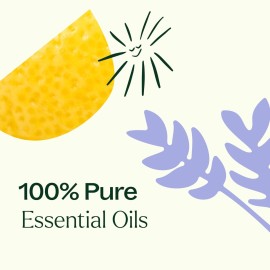 Plant Therapy Top 6 USDA Organic Essential Oil Set - Lavender, Peppermint, Eucalyptus, Lemon, Tea Tree 100% Pure, Natural Aromatherapy, for Diffusion & Topical Use, Therapeutic Grade 10 mL (1/3 oz) Plant Therapy Top 6 USDA Organic Essential Oil Set - Lavender, Peppermint, Eucalyptus, Lemon, Tea Tree 100% Pure, Natural Aromatherapy, for Diffusion & Topical Use, Therapeutic Grade 10 mL (1/3 oz)