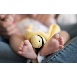 Burt\'s Bees Baby Baby Plush Toy Lovey, Hold Me Bee Stuffed Security Blanket, Infants Comfort Object, Made with Organic Velour Shell with Polyester, Sunshine Color, Size 12x12x3 Inches Burt\'s Bees Baby Baby Plush Toy Lovey, Hold Me Bee Stuffed Security Blanket, Infants Comfort Object, Made with Organic Velour Shell with Polyester, Sunshine Color, Size 12x12x3 Inches