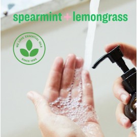 Everyone Liquid Hand Soap, 12.75 Ounce (Pack of 3), Spearmint and Lemongrass, Plant-Based Cleanser with Pure Essential Oils Everyone Liquid Hand Soap, 12.75 Ounce (Pack of 3), Spearmint and Lemongrass, Plant-Based Cleanser with Pure Essential Oils