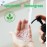 Everyone Liquid Hand Soap, 12.75 Ounce (Pack of 3), Spearmint and Lemongrass, Plant-Based Cleanser with Pure Essential Oils