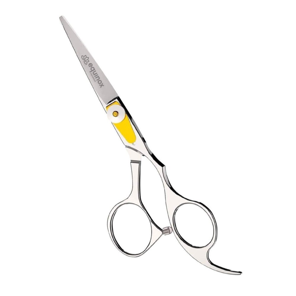 Equinox Professional Razor Edge Series Barber Hair Cutting Scissors - Japanese Stainless Steel Salon Scissors - 6.5 Overall Length - Fine Adjustment Tension Screw - Premium Shears for Hair Cutting Equinox Professional Razor Edge Series Barber Hair Cutting Scissors - Japanese Stainless Steel Salon Scissors - 6.5 Overall Length - Fine Adjustment Tension Screw - Premium Shears for Hair Cutting