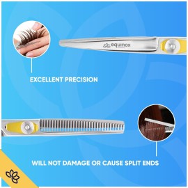 Equinox Professional Razor Edge Series Hair Cutting Scissors Set - Barber Hair Cutting & Thinning Shears/Texturizing Scissors Set - 6.5 Inches Hair Cutting Scissors Kit for Men/Women/Kids/Salon & Home Equinox Professional Razor Edge Series Hair Cutting Scissors Set - Barber Hair Cutting & Thinning Shears/Texturizing Scissors Set - 6.5 Inches Hair Cutting Scissors Kit for Men/Women/Kids/Salon & Home