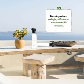 Bayes High Performance Teak Cleaner & Restorer - Cleans, Shines, and Protects - Maintains Fine Teak and Restores Neglected Teak - 16 oz (1-Pack) Bayes High Performance Teak Cleaner & Restorer - Cleans, Shines, and Protects - Maintains Fine Teak and Restores Neglected Teak - 16 oz (1-Pack)