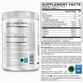 Xtend XTEND Original BCAA Powder 7g BCAA and 2.5g L-Glutamine, Sugar Free Post Workout Muscle Recovery Drink with Amino Acids for Men & Women, 30 Servings