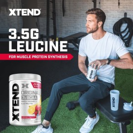 Xtend XTEND Original BCAA Powder 7g BCAA and 2.5g L-Glutamine, Sugar Free Post Workout Muscle Recovery Drink with Amino Acids for Men & Women, 30 Servings