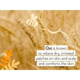 Babo Botanicals Moisturizing Oat & Calendula Conditioner - Silicone-Free - For Dry or Sensitive Skin - For all ages - Vegan - Lightly Scented