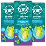 Tom\'s of Maine Fluoride-Free Toddler Training Toothpaste, Mild Fruit, 1.75 oz. 3-Pack (Packaging May Vary)