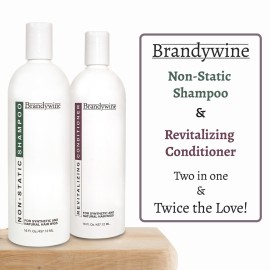 Brandywine Non Static Shampoo & Revitalizing Conditioner 16 Ounce, Value Pack Bundle 2 items