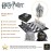 The Noble Collection Harry Potter Wizard Chess Set