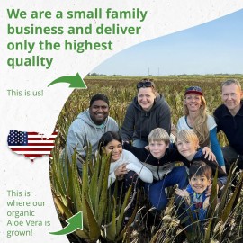 Seven Minerals Organic Aloe Vera Gel from freshly cut 100% Pure Aloe - Big 12oz - HighestQuality, Texas grown, Vegan, Unscented - For Face, Skin, Hair, Sunburn relief Seven Minerals Organic Aloe Vera Gel from freshly cut 100% Pure Aloe - Big 12oz - HighestQuality, Texas grown, Vegan, Unscented - For Face, Skin, Hair, Sunburn relief
