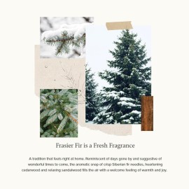 Thymes Frasier Fir Pine Needle Candle - Holiday Candles for Home Scented with Notes of Crisp Siberian Fir, Cedarwood & Sandalwood - Christmas Decor - Christmas Gifts for Women & Men (6.5 oz) Thymes Frasier Fir Pine Needle Candle - Holiday Candles for Home Scented with Notes of Crisp Siberian Fir, Cedarwood & Sandalwood - Christmas Decor - Christmas Gifts for Women & Men (6.5 oz)