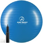 ProBody Pilates Exercise Ball - Multiple Sizes Gym Grade Balance Ball for Fitness, Workout, Pregnancy & Physical Therapy, Stability Yoga Ball Chair (Blue, 65cm)