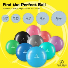 ProBody Pilates Exercise Ball - Multiple Sizes Gym Grade Balance Ball for Fitness, Workout, Pregnancy & Physical Therapy, Stability Yoga Ball Chair (Blue, 65cm) ProBody Pilates Exercise Ball - Multiple Sizes Gym Grade Balance Ball for Fitness, Workout, Pregnancy & Physical Therapy, Stability Yoga Ball Chair (Blue, 65cm)