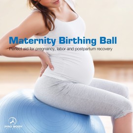 ProBody Pilates Exercise Ball - Multiple Sizes Gym Grade Balance Ball for Fitness, Workout, Pregnancy & Physical Therapy, Stability Yoga Ball Chair (Blue, 65cm) ProBody Pilates Exercise Ball - Multiple Sizes Gym Grade Balance Ball for Fitness, Workout, Pregnancy & Physical Therapy, Stability Yoga Ball Chair (Blue, 65cm)